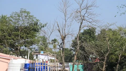 Urban Deforestation in India Stock Footage 299609248