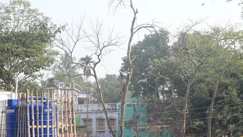 Urban Deforestation in India Stock Footage 299610458