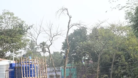 Urban Deforestation in India Stock Footage 299610938