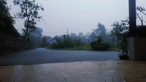 Urban evening rain Stock Footage 218424710