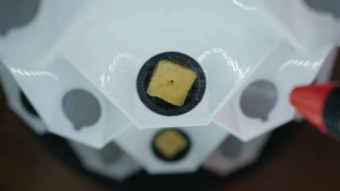 Urban farmer using spray bottle nourishing seedlings in rock wool cubes, using Stock Footage 319772146