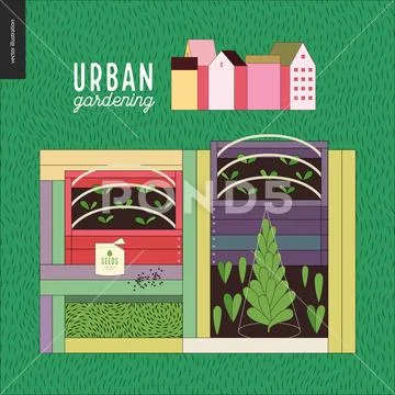 Urban Farming And Gardening - Seedbeds