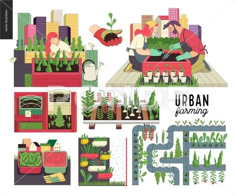 Urban Farming And Gardening Set