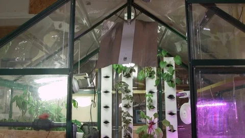 Urban Farming vertical pan of hydroponics greenhouse Stock Footage