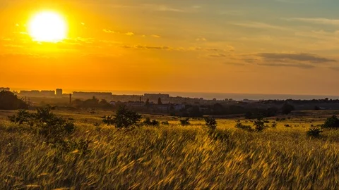 Urban field sunset Video stock 96215510