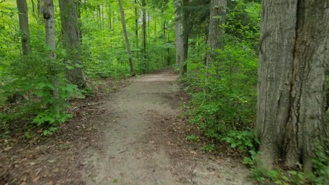 Urban Forest Trail 스톡 동영상 250280572