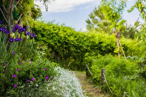 Urban garden background. Spring, summer natural ecology environment Stock Photos
