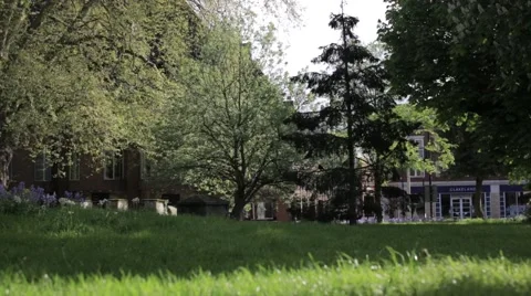 Urban graveyard  Stock Footage 40525722