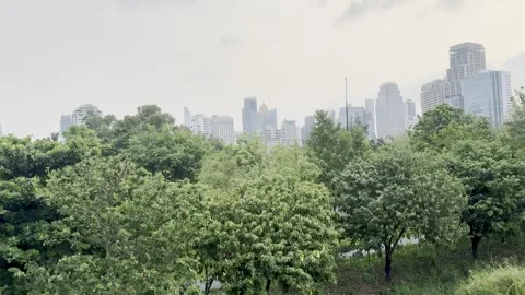 Urban Green Space Canopy and Bangkok City Skyline Stock Footage 339044857