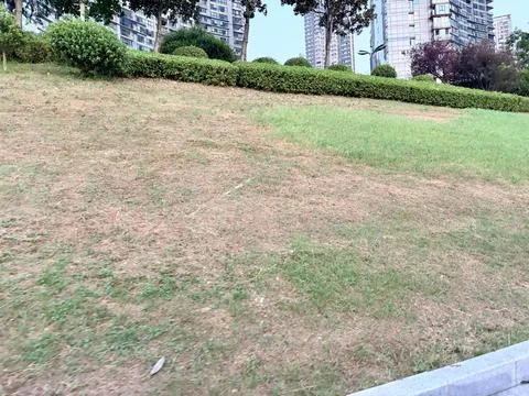 Urban Green Space with Patchy Grass and Modern Buildings Foto stock