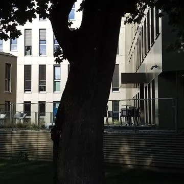 Urban greening with different working techniques Foto stock