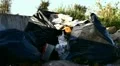 Urban illegal dump HD Footage