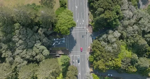 Urban intersection amidst parkland. Video stock 295017602