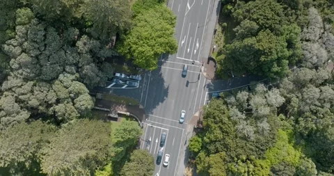 Urban intersection amidst parkland. Stock-Footage 295018123