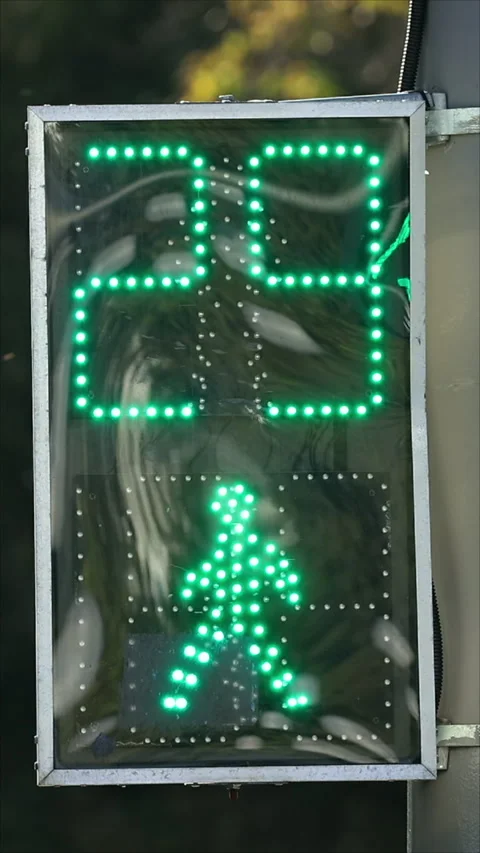 Urban Intersection With Traffic Light. Vertical. Stock Footage 289628335