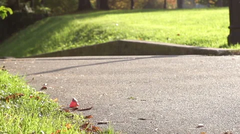 Urban Jogging Couple Runs Deep Into The Green Park Stock Footage 42162136