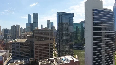 Urban Jungle Видео 113706210