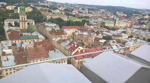 In the urban jungle Stock Photos