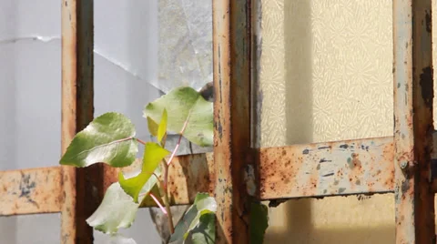 Urban life Stock Footage 33754848