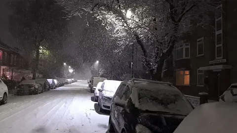 Urban night snowfall. Stock Footage 225417255