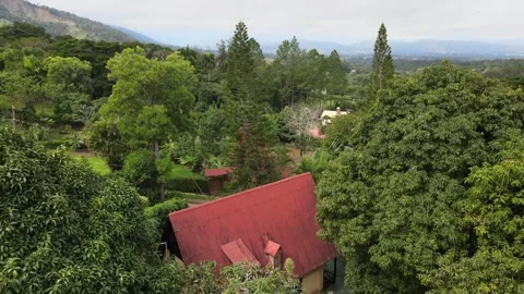 Urban Panoramic Views of Tranquility Stock Footage 153321776