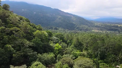 Urban Panoramic Views of Tranquility Stock Footage 153323206