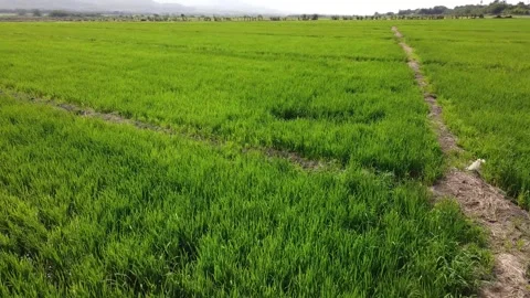 Urban Panoramic Views of Tranquility Stock Footage 154113885