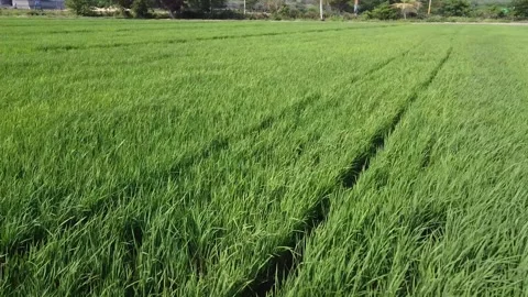 Urban Panoramic Views of Tranquility Stock Footage 154115485