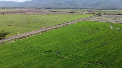 Urban Panoramic Views of Tranquility Stock Footage 154116445