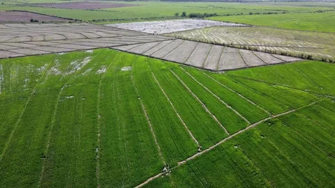 Urban Panoramic Views of Tranquility Stock Footage 154116764