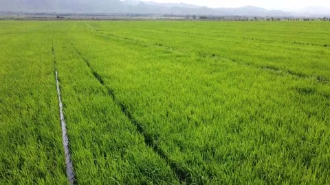 Urban Panoramic Views of Tranquility Stock Footage 154117220