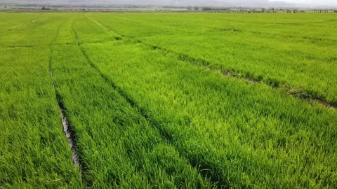 Urban Panoramic Views of Tranquility Stock Footage 154117539