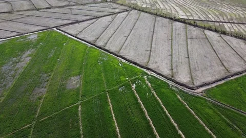 Urban Panoramic Views of Tranquility Stock Footage 154118256