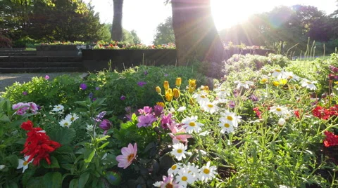 Urban Park Stock Footage 67560084