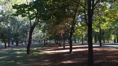 Urban park Stock Footage 115153905