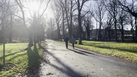 Urban Park Stock Footage 293475954