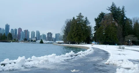 Urban Park Path after Snow Storm Video stock 129784493
