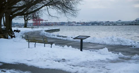 Urban Park Path after Snow Storm Video stock 129786783