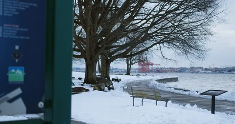 Urban Park Path after Snow Storm Stock-Footage 129787287