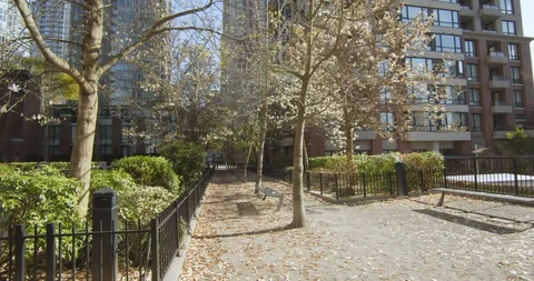Urban Park Path with Blooming Trees Video stock 129778437