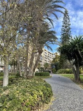Urban Park Path With Palm Trees in Alicante Spain. Stock Photos
