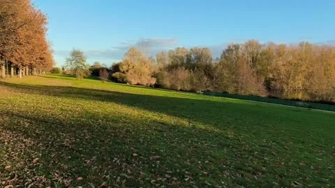Urban Park Shining In Sunset Light City Background 4K Stock Footage 321808769