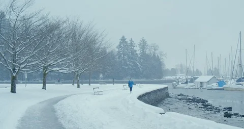 Urban Park Snow Storm Path Stock-Footage 129782819