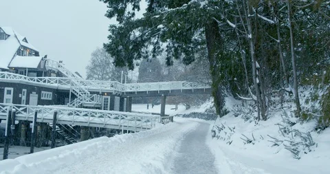 Urban Park Snow Storm Path Stock-Footage 129783345