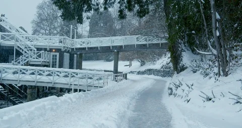 Urban Park Snow Storm Path Stock-Footage 129783348