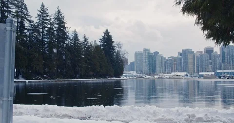 Urban Park Snowy Path Video stock 129784231