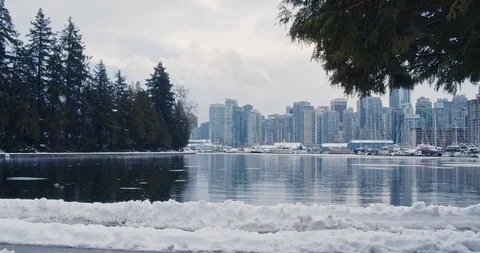 Urban Park Snowy Path Stock-Footage 129784307