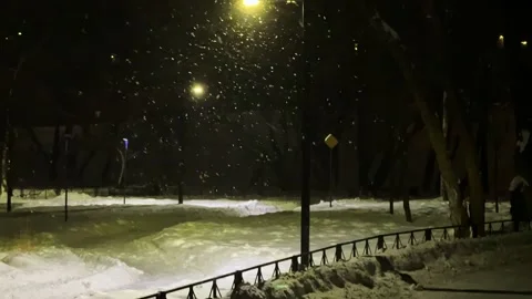 Urban park in soft light and snowfall Vídeo Stock 330054448