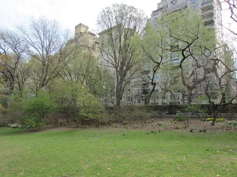 Urban Park with Trees Stock Photos