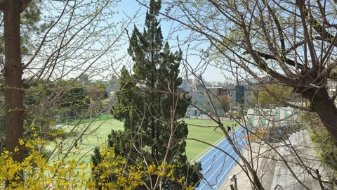 Urban Park View with Blooming Trees and Blue Running Track in Spring Stock Footage 337473256